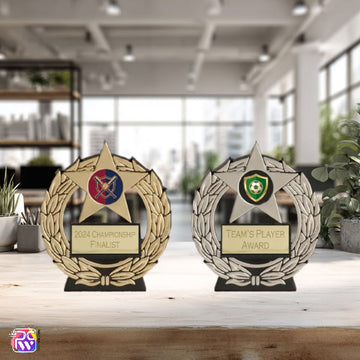 Cheap Trophy Budget Metallic Plaque Awards - Gold, Silver & Bronze Dance, Football, Acheivement Award